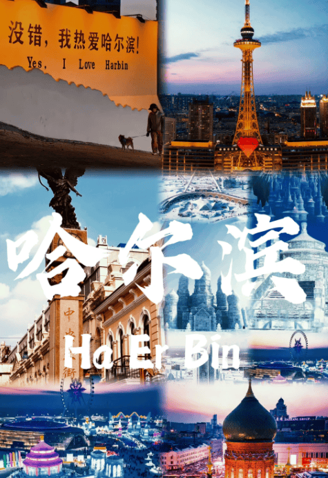 旅行社排行榜 口碑前十权威揭晓开元ky棋牌2025哈尔滨正规(图2)